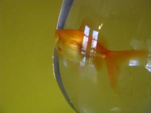 Blog Post Photos 054